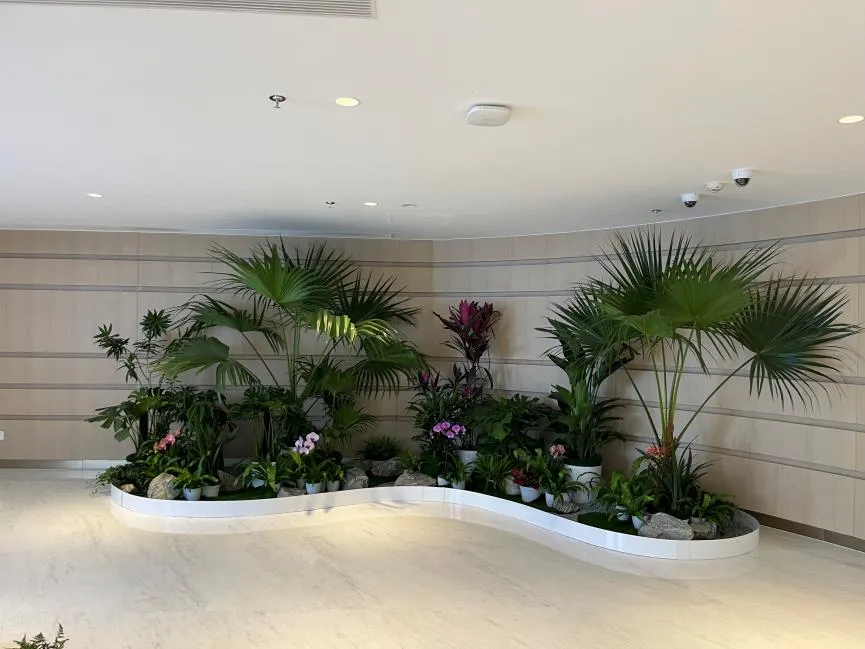 深度剖析奉化花卉租摆方案，尽显花卉风情